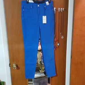 Judy Blue Vibrant Blue Denim Pants